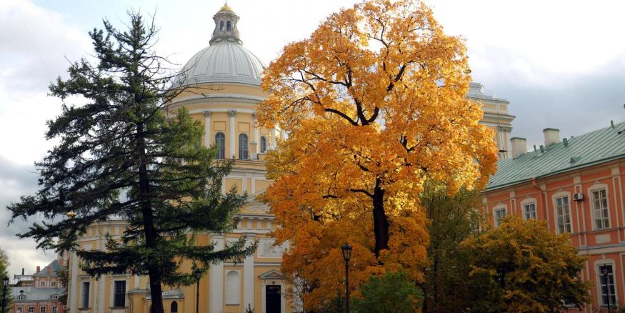 Александро Невская Лавра осень